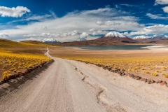 Laguna y Volcán Miscanti