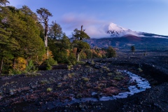 Volcan Llaima, Parque Nacional Conguillio